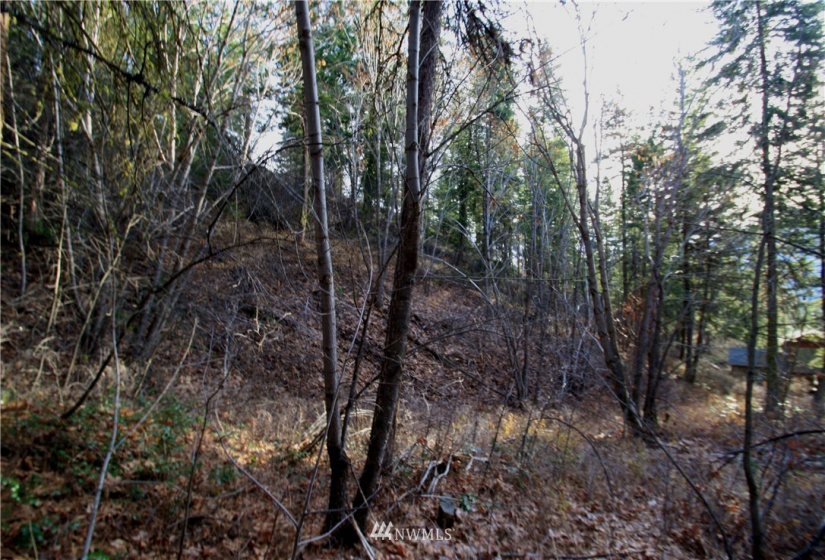 293 Rabbit, Leavenworth, Washington 98826, ,Land,For Sale,Rabbit,NWM1873641