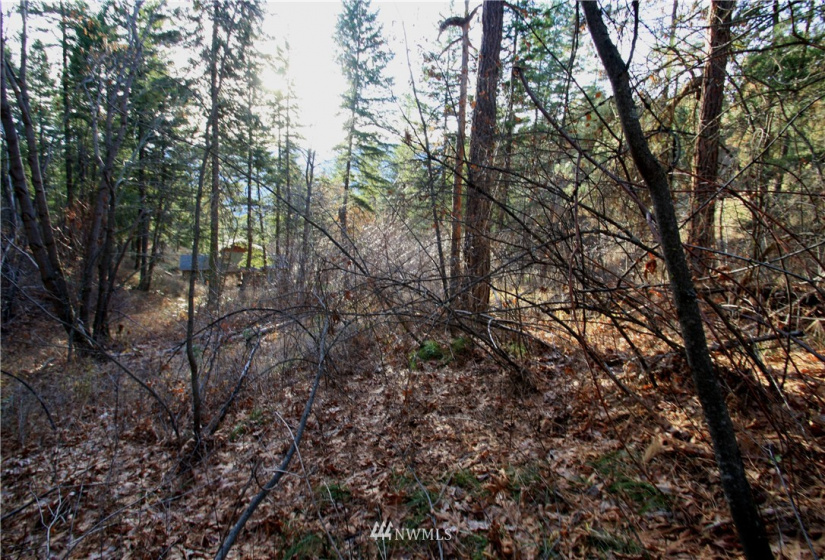 293 Rabbit, Leavenworth, Washington 98826, ,Land,For Sale,Rabbit,NWM1873641