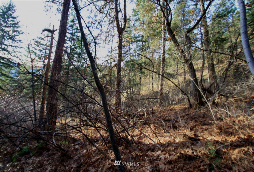 293 Rabbit, Leavenworth, Washington 98826, ,Land,For Sale,Rabbit,NWM1873641