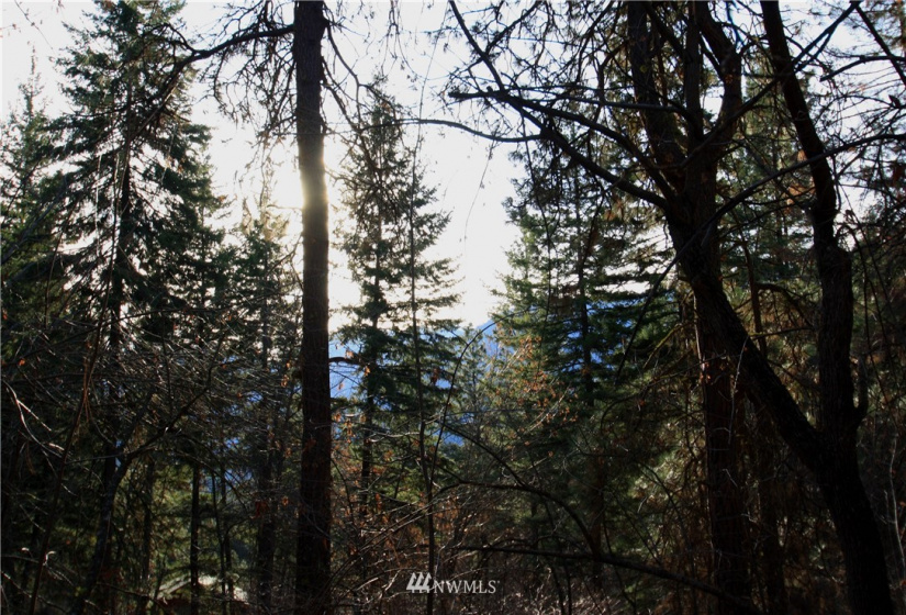 293 Rabbit, Leavenworth, Washington 98826, ,Land,For Sale,Rabbit,NWM1873641