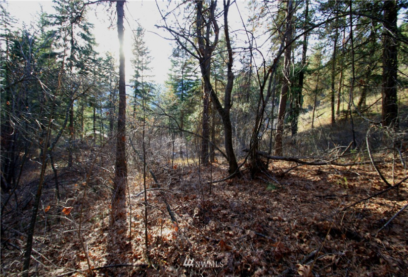 293 Rabbit, Leavenworth, Washington 98826, ,Land,For Sale,Rabbit,NWM1873641