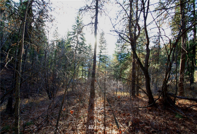 293 Rabbit, Leavenworth, Washington 98826, ,Land,For Sale,Rabbit,NWM1873641