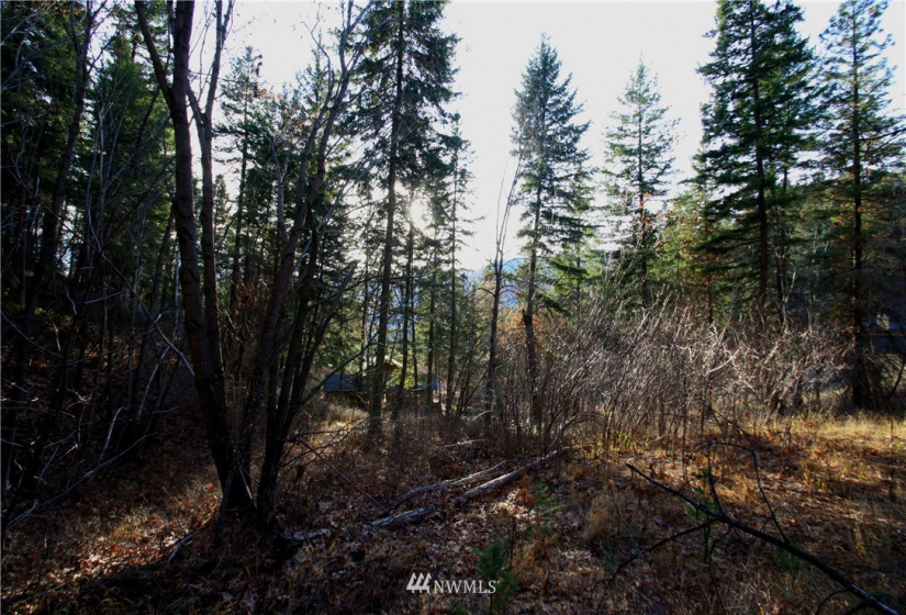 293 Rabbit, Leavenworth, Washington 98826, ,Land,For Sale,Rabbit,NWM1873641