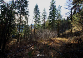 293 Rabbit, Leavenworth, Washington 98826, ,Land,For Sale,Rabbit,NWM1873641