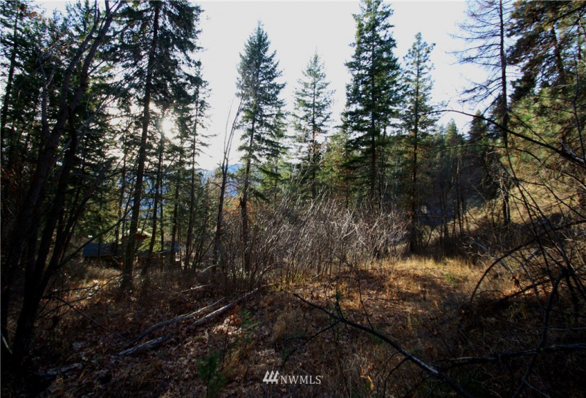 293 Rabbit, Leavenworth, Washington 98826, ,Land,For Sale,Rabbit,NWM1873641