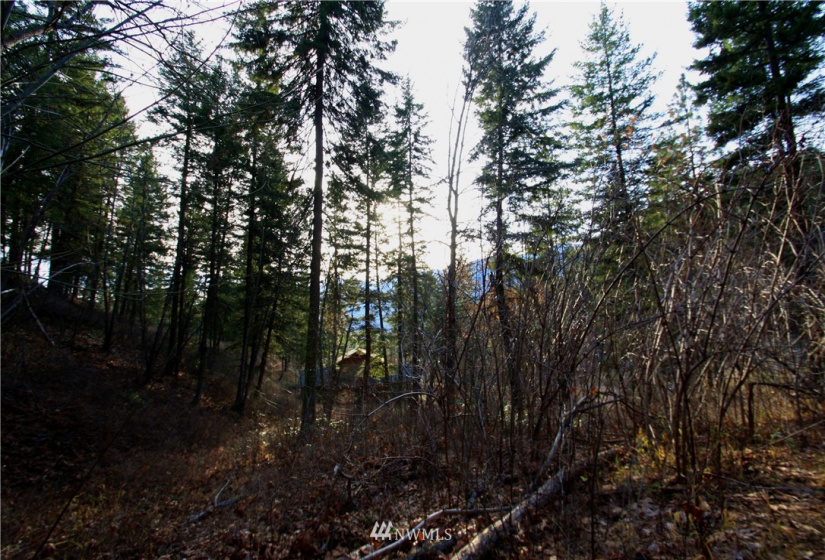 293 Rabbit, Leavenworth, Washington 98826, ,Land,For Sale,Rabbit,NWM1873641