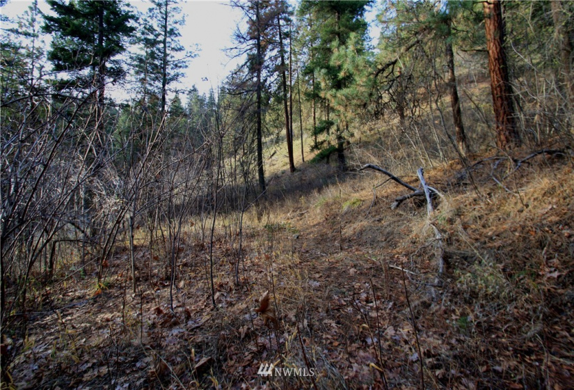 293 Rabbit, Leavenworth, Washington 98826, ,Land,For Sale,Rabbit,NWM1873641
