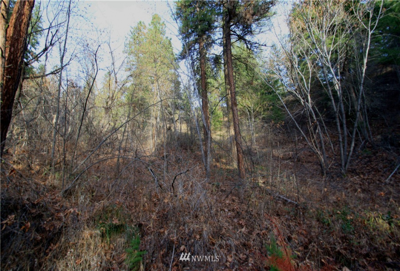 293 Rabbit, Leavenworth, Washington 98826, ,Land,For Sale,Rabbit,NWM1873641