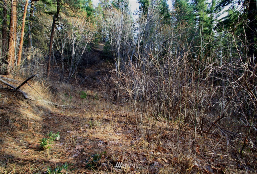 293 Rabbit, Leavenworth, Washington 98826, ,Land,For Sale,Rabbit,NWM1873641