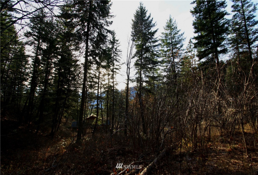 293 Rabbit, Leavenworth, Washington 98826, ,Land,For Sale,Rabbit,NWM1873641