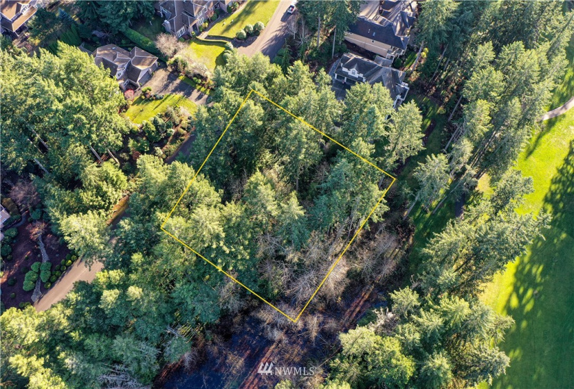 12602 Tanager, Gig Harbor, Washington 98332, ,Land,For Sale,Canterwood,Tanager,NWM1872118