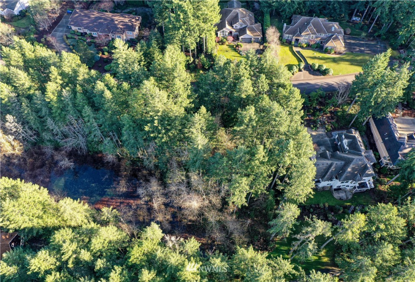 12602 Tanager, Gig Harbor, Washington 98332, ,Land,For Sale,Canterwood,Tanager,NWM1872118