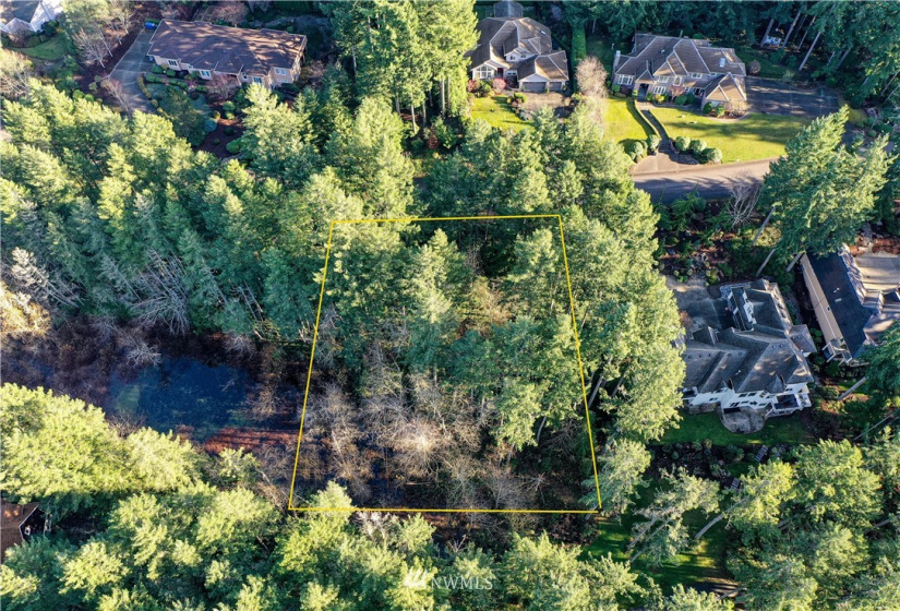 12602 Tanager, Gig Harbor, Washington 98332, ,Land,For Sale,Canterwood,Tanager,NWM1872118