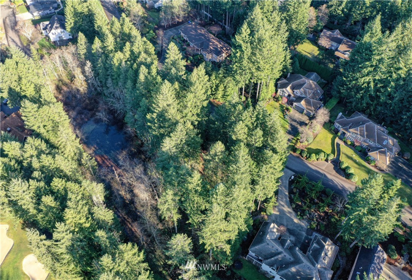 12602 Tanager, Gig Harbor, Washington 98332, ,Land,For Sale,Canterwood,Tanager,NWM1872118