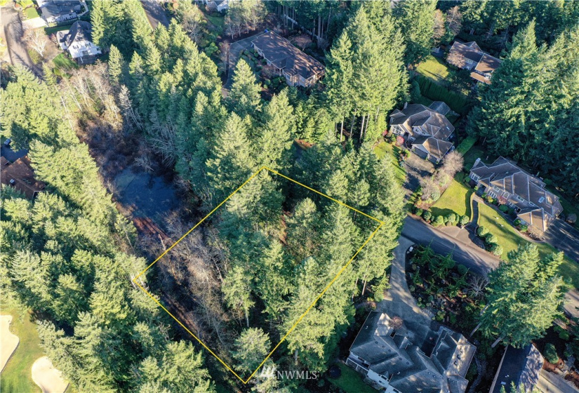 12602 Tanager, Gig Harbor, Washington 98332, ,Land,For Sale,Canterwood,Tanager,NWM1872118