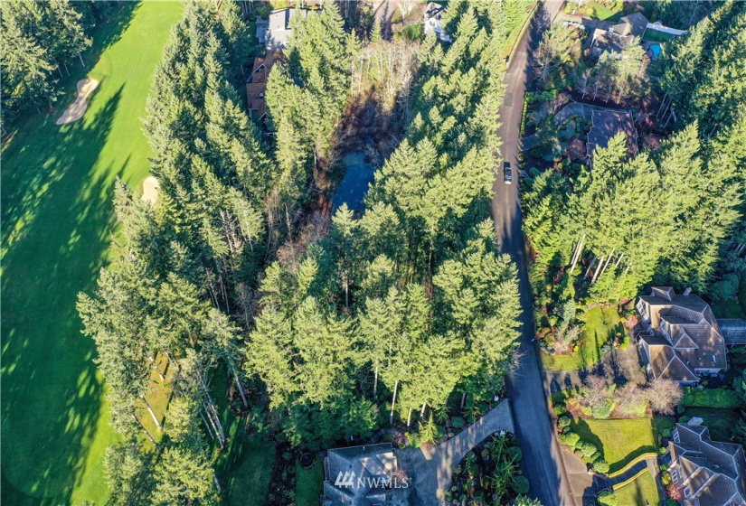 12602 Tanager, Gig Harbor, Washington 98332, ,Land,For Sale,Canterwood,Tanager,NWM1872118