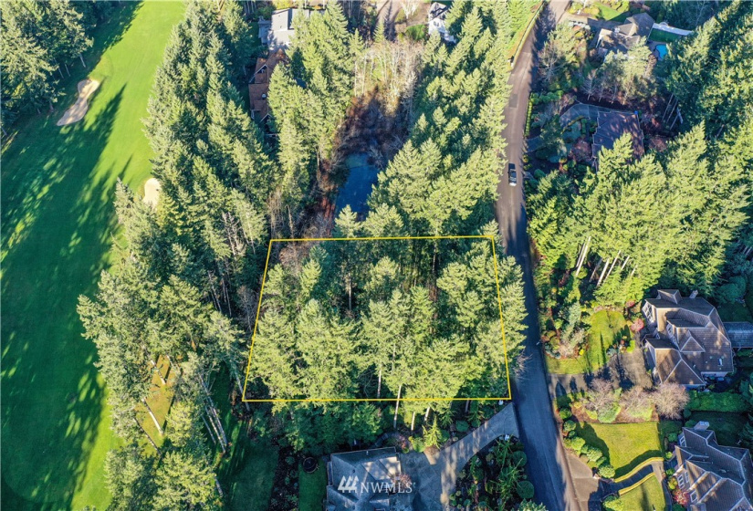 12602 Tanager, Gig Harbor, Washington 98332, ,Land,For Sale,Canterwood,Tanager,NWM1872118