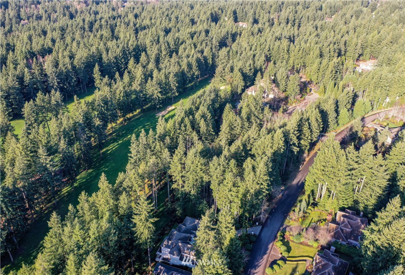 12602 Tanager, Gig Harbor, Washington 98332, ,Land,For Sale,Canterwood,Tanager,NWM1872118