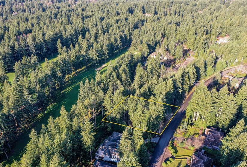12602 Tanager, Gig Harbor, Washington 98332, ,Land,For Sale,Canterwood,Tanager,NWM1872118