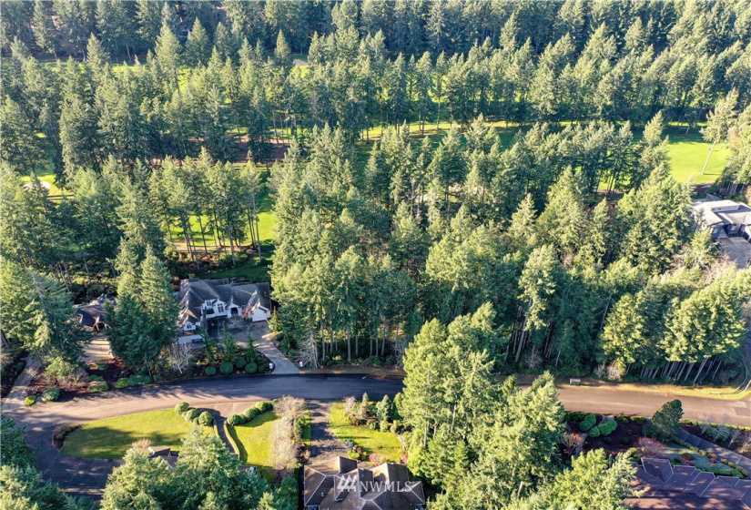 12602 Tanager, Gig Harbor, Washington 98332, ,Land,For Sale,Canterwood,Tanager,NWM1872118