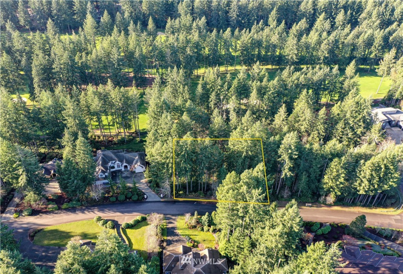 12602 Tanager, Gig Harbor, Washington 98332, ,Land,For Sale,Canterwood,Tanager,NWM1872118