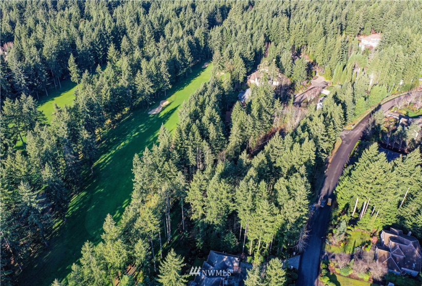 12602 Tanager, Gig Harbor, Washington 98332, ,Land,For Sale,Canterwood,Tanager,NWM1872118