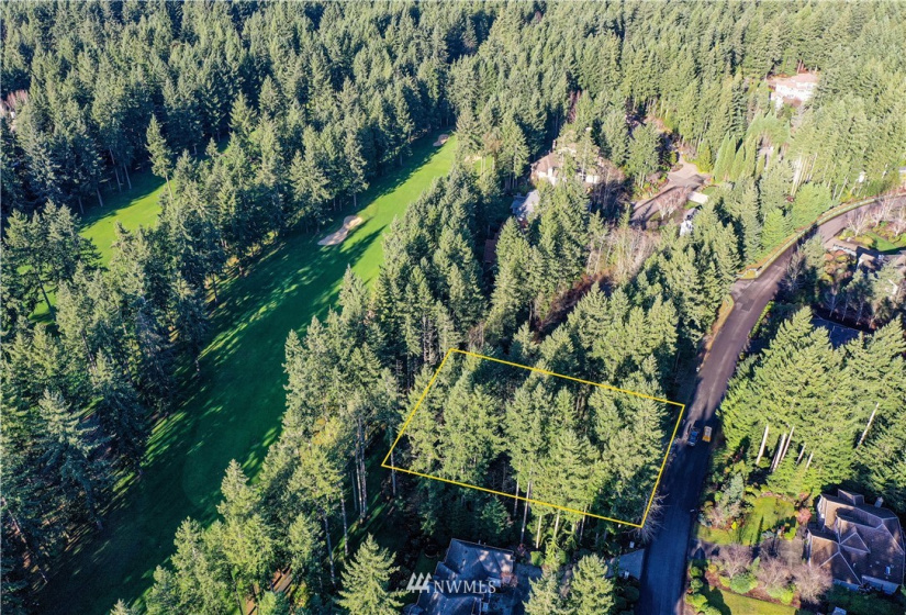 12602 Tanager, Gig Harbor, Washington 98332, ,Land,For Sale,Canterwood,Tanager,NWM1872118