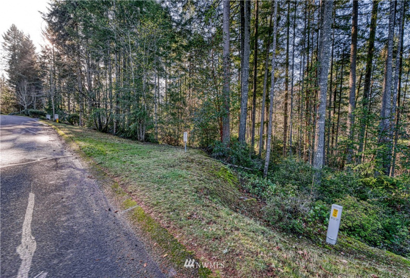 12602 Tanager, Gig Harbor, Washington 98332, ,Land,For Sale,Canterwood,Tanager,NWM1872118