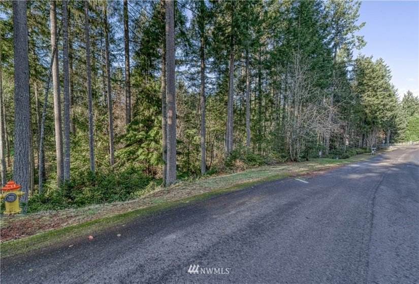 12602 Tanager, Gig Harbor, Washington 98332, ,Land,For Sale,Canterwood,Tanager,NWM1872118