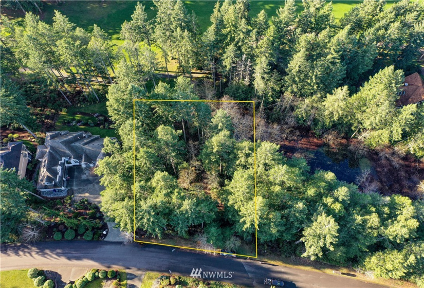 12602 Tanager, Gig Harbor, Washington 98332, ,Land,For Sale,Canterwood,Tanager,NWM1872118