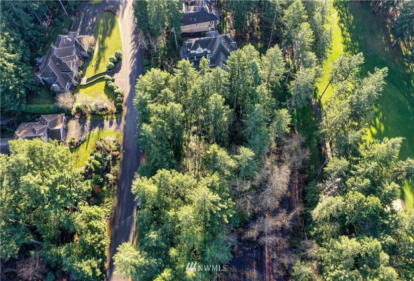 12602 Tanager, Gig Harbor, Washington 98332, ,Land,For Sale,Canterwood,Tanager,NWM1872118