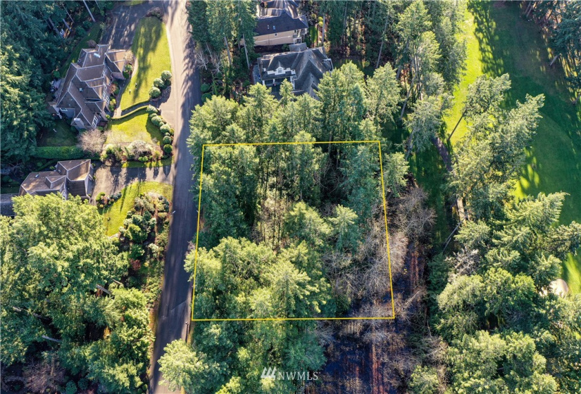 12602 Tanager, Gig Harbor, Washington 98332, ,Land,For Sale,Canterwood,Tanager,NWM1872118