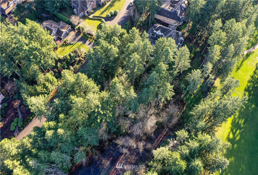 12602 Tanager, Gig Harbor, Washington 98332, ,Land,For Sale,Canterwood,Tanager,NWM1872118