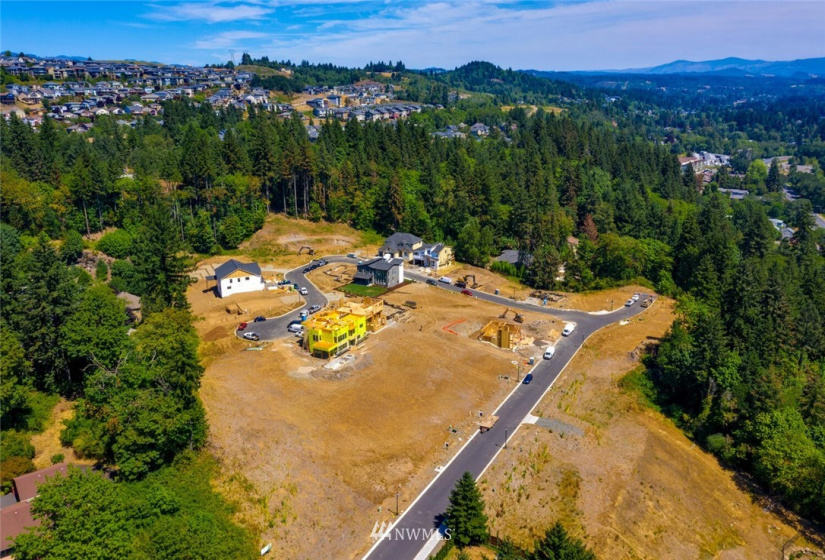 501 Province, Camas, Washington 98607, ,Land,For Sale,Province Estates,Province,NWM1875326