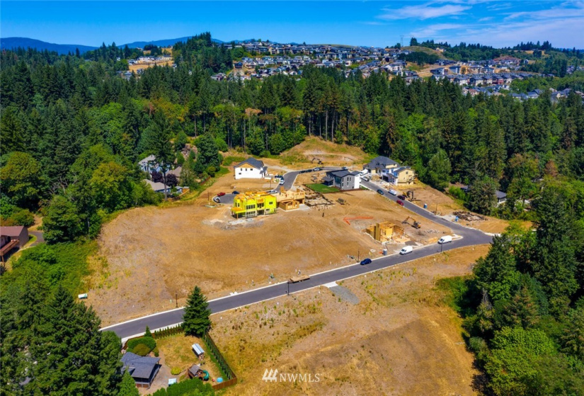 501 Province, Camas, Washington 98607, ,Land,For Sale,Province Estates,Province,NWM1875326