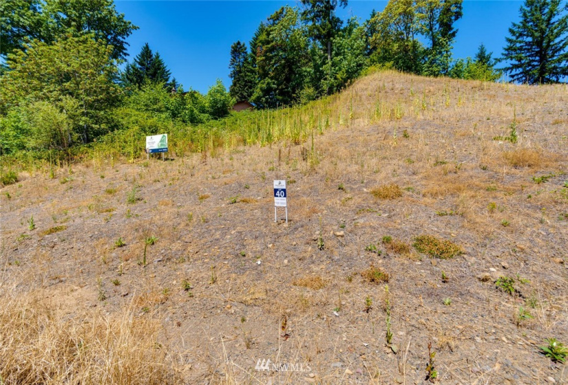 501 Province, Camas, Washington 98607, ,Land,For Sale,Province Estates,Province,NWM1875326