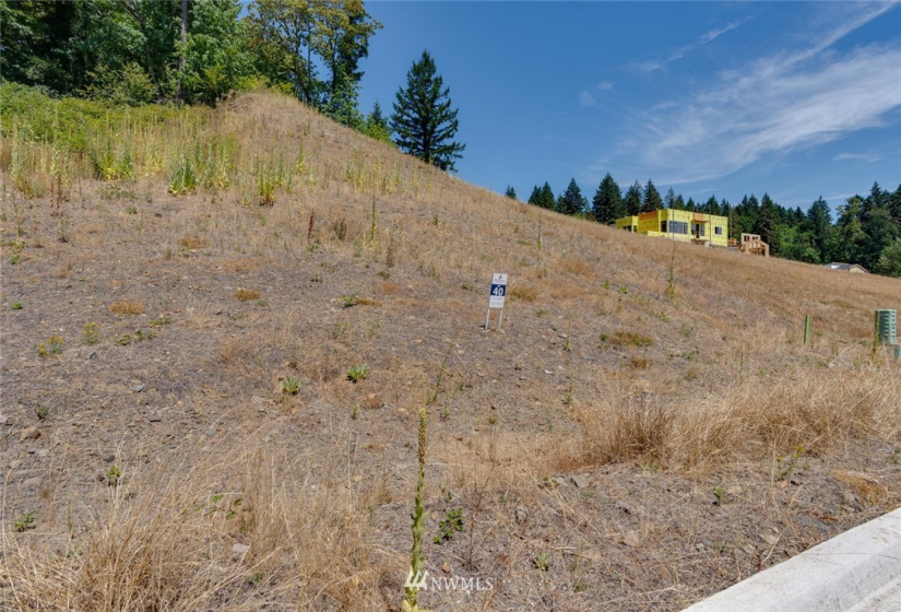 501 Province, Camas, Washington 98607, ,Land,For Sale,Province Estates,Province,NWM1875326