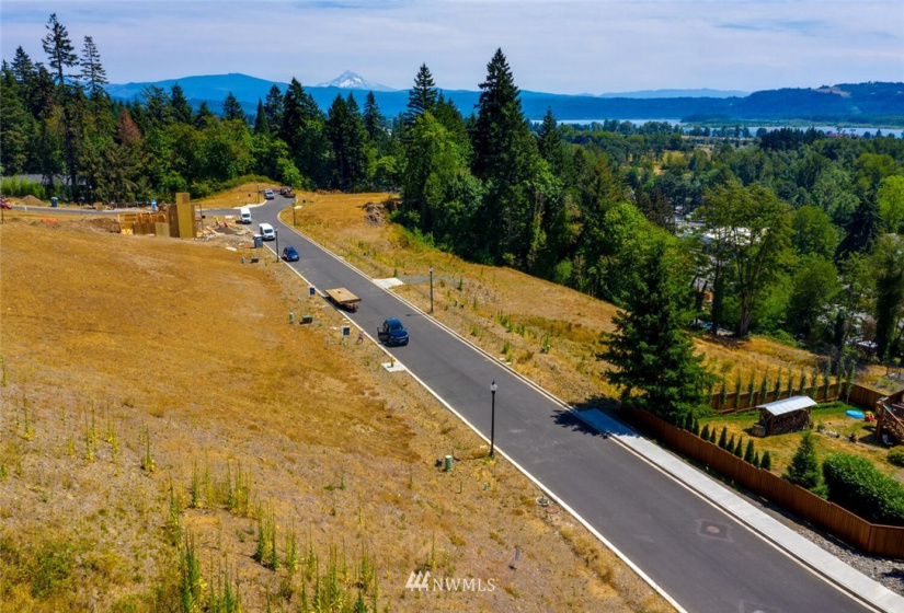 501 Province, Camas, Washington 98607, ,Land,For Sale,Province Estates,Province,NWM1875326