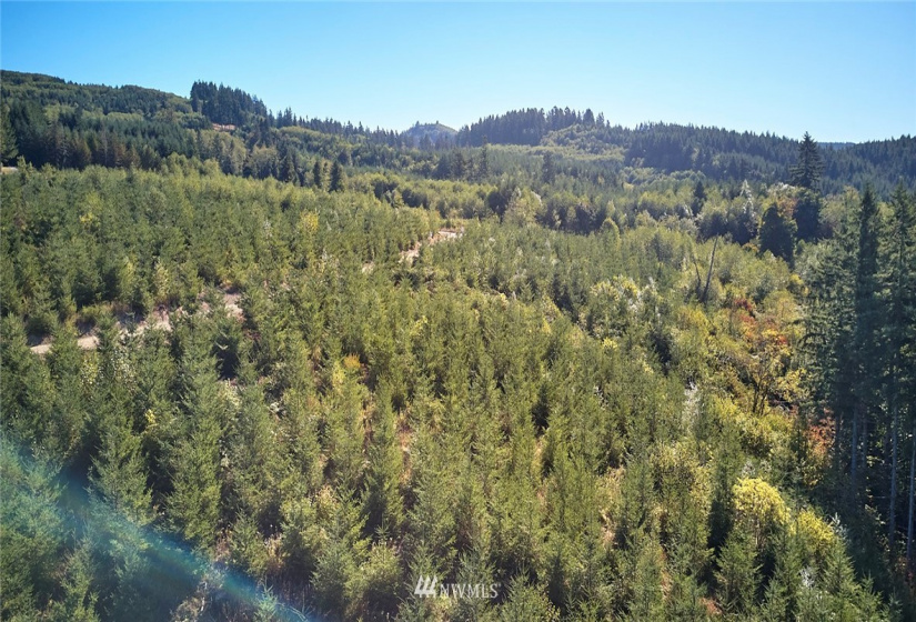 0 Bodine, Kelso, Washington 98626, ,Land,For Sale,Bodine,NWM1875443