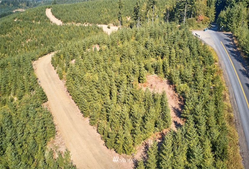 0 Bodine, Kelso, Washington 98626, ,Land,For Sale,Bodine,NWM1875443