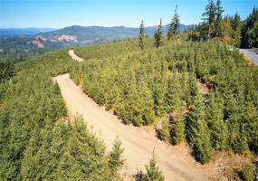0 Bodine, Kelso, Washington 98626, ,Land,For Sale,Bodine,NWM1875443