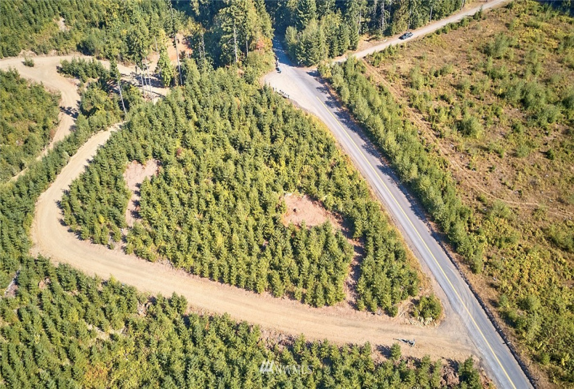0 Bodine, Kelso, Washington 98626, ,Land,For Sale,Bodine,NWM1875443