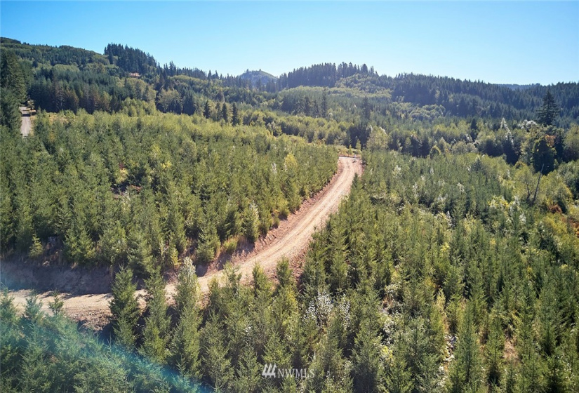 0 Bodine, Kelso, Washington 98626, ,Land,For Sale,Bodine,NWM1875443