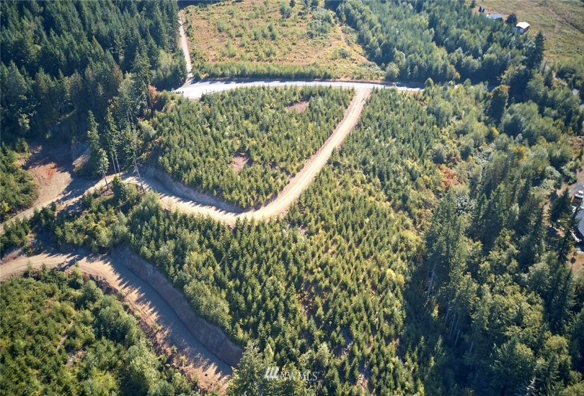 0 Bodine, Kelso, Washington 98626, ,Land,For Sale,Bodine,NWM1875443