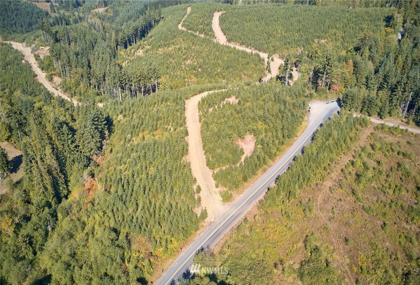 0 Bodine, Kelso, Washington 98626, ,Land,For Sale,Bodine,NWM1875443