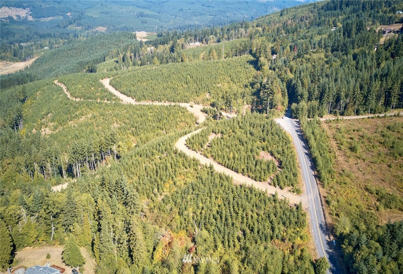 0 Bodine, Kelso, Washington 98626, ,Land,For Sale,Bodine,NWM1875443