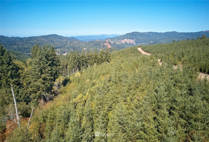0 Bodine, Kelso, Washington 98626, ,Land,For Sale,Bodine,NWM1875443