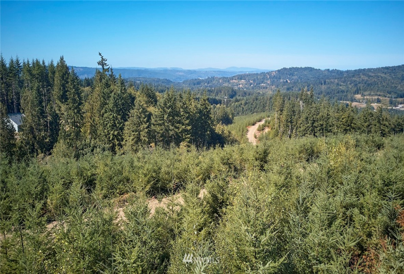 0 Bodine, Kelso, Washington 98626, ,Land,For Sale,Bodine,NWM1875443