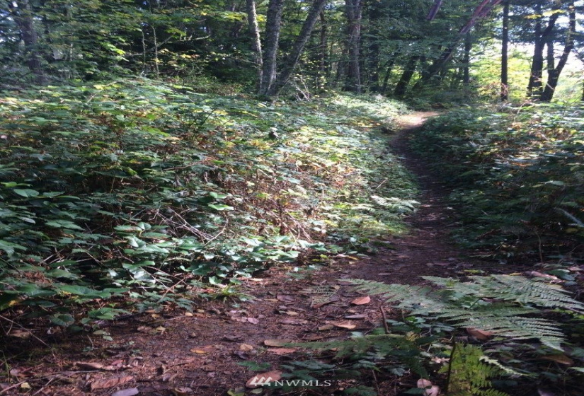 0 Lots A, B & C Rose, Bainbridge Island, Washington 98110, ,Land,For Sale,Lots A, B & C Rose,NWM1870212