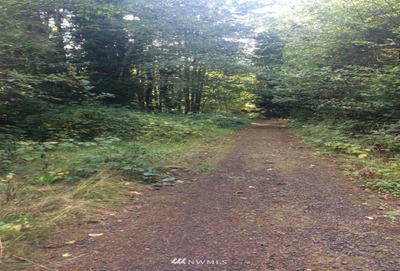 0 Lots A, B & C Rose, Bainbridge Island, Washington 98110, ,Land,For Sale,Lots A, B & C Rose,NWM1870212